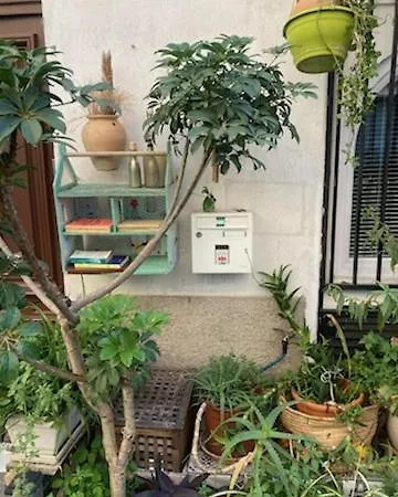 Un Jardin En Appartement *