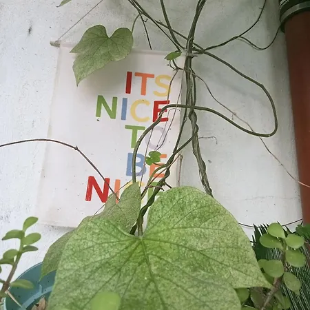 Un Jardin En Lejlighed Nice