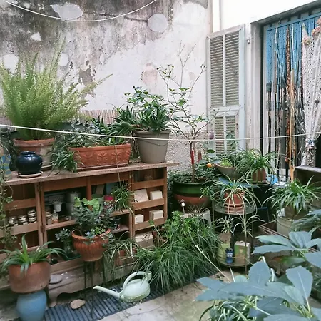 Un Jardin En *