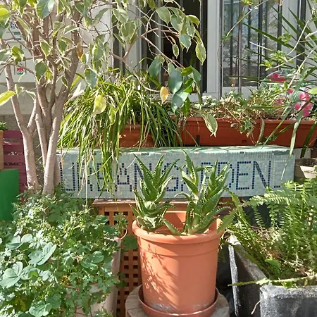 Un Jardin En * Nice