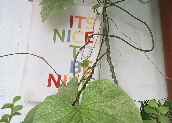 Un Jardin En Appartement Nice