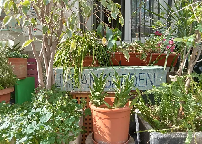 Un Jardin En * Nice