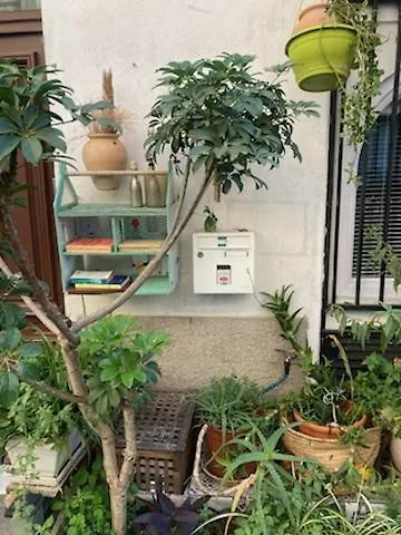 Un Jardin En Appartement *